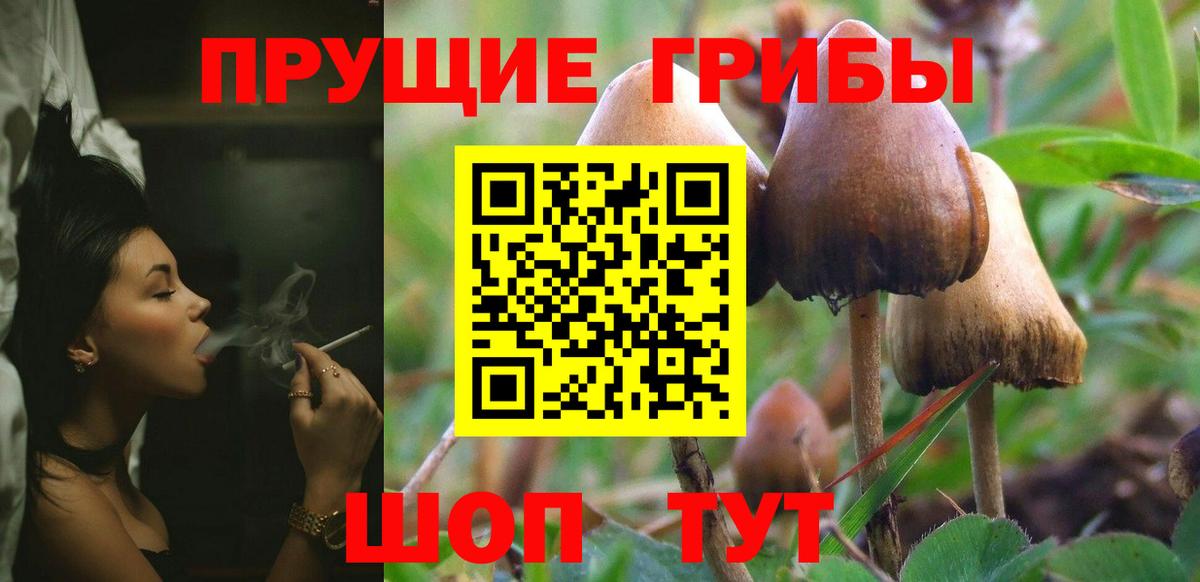 Псилоцибиновые грибы MAGIC MUSHROOMS  Вход с VPN  Галлюциногенные грибы MAGIC MUSHROOMS  Холмск 
